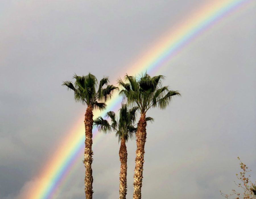 Bright rainbow in Los Angeles after a few days of rain.