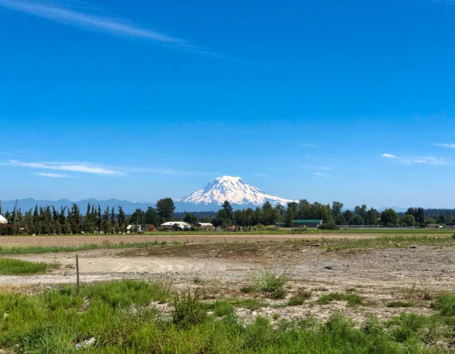 Mount Rainer